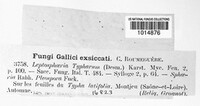 Typhicola typharum image